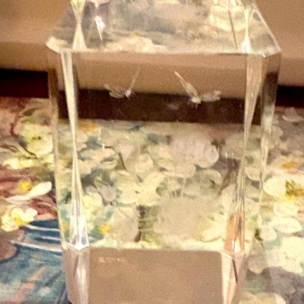 Vintage Square Etched Glass Paperweight with Butterflies and a Hummingbird
